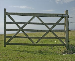 AUTOMATIC-GATES